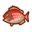 NH-Icon-redsnapper