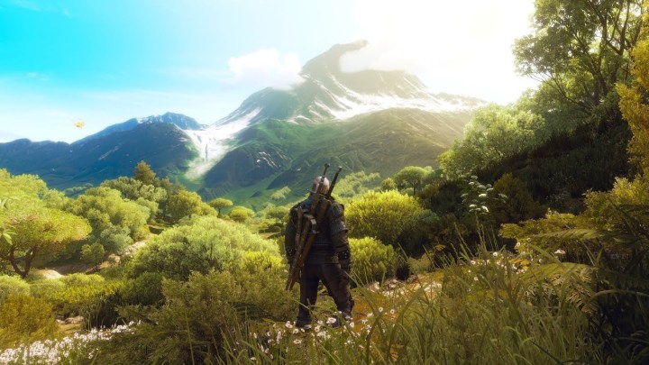 Geralt looking at mountain in The Witcher 3.