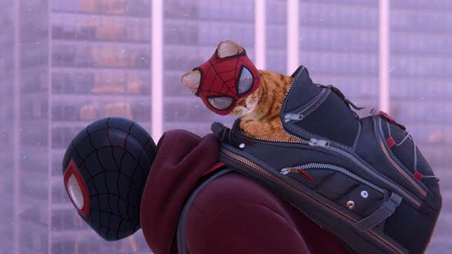the cat in spider man miles morales for ps5