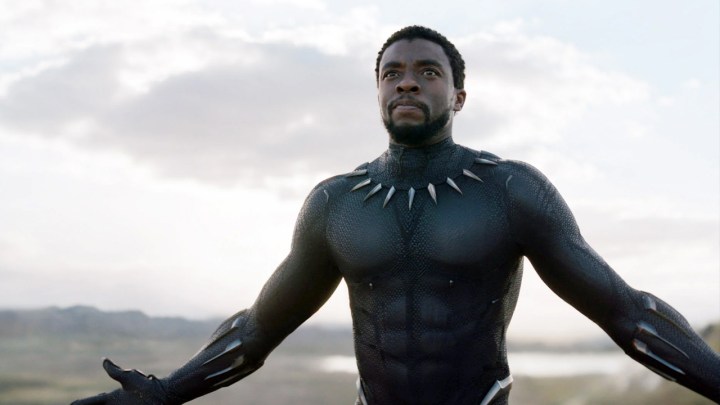 Chadwick Boseman as Black Panther returns to Wakanda