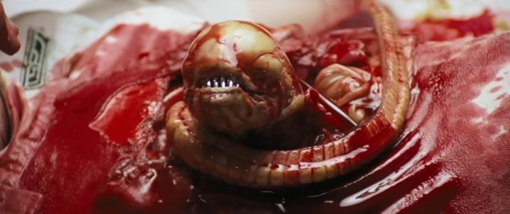 A chestburster in "Alien."