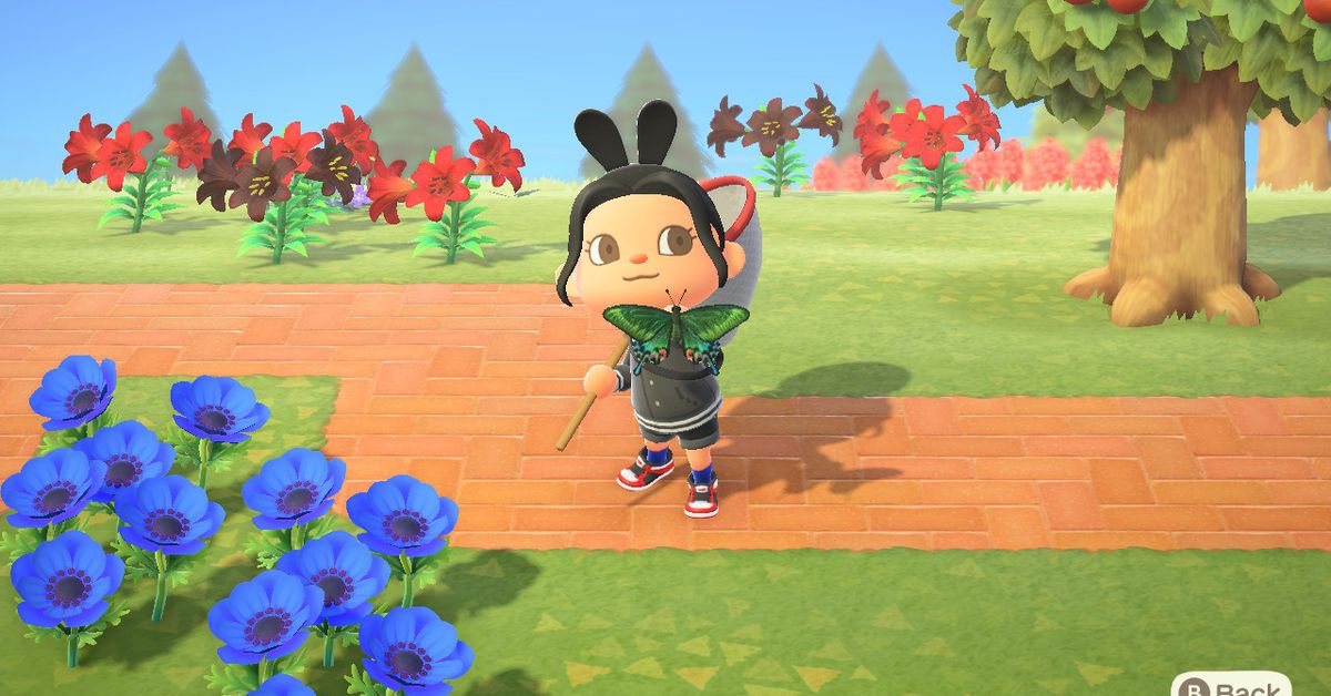 ACNH bug list and all Animal Crossing bug guide
