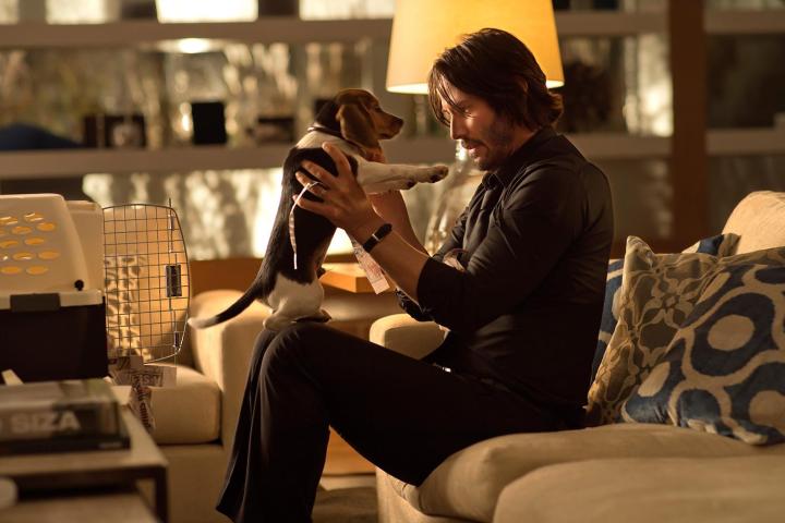 John Wick holds a puppy in John Wick.